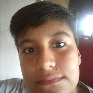Profile Picture of Felipe Zamudio (@felipezamudio13) on Twitter