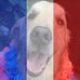 Profile Picture of Cheryl Houde (@cheryl.houde.7) on Facebook