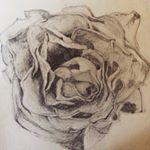 Profile Picture of Amanda Falkner (@tac0w1f1) on Instagram