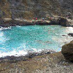 Profile Picture of tony brown (@sealeyrocks) on Instagram