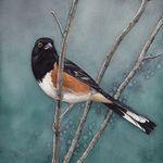 Profile Picture of Cooper Corley (@cooperdcorley) on Instagram