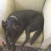 Profile Picture of Jerome Gabriel (@jeromegabriel1880) on Youtube