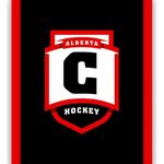 Profile Picture of Jason Nicholetts (@nic_primehockeyedm77) on Instagram