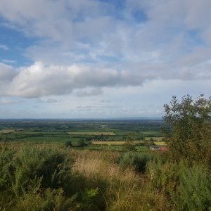 Profile Picture of Trevor Healy (@Trevorhealy7) on Twitter