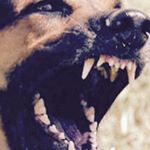 Profile Picture of Erik Mcmillan (@erik_a_mcmillan) on Instagram