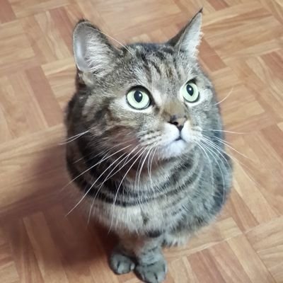 Profile Picture of Pei Rong Liao (@Liao_Pei_Rong) on Twitter