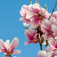 Profile Picture of Samuel Rey Hoyos (@SamuelReyHoyos1) on Twitter