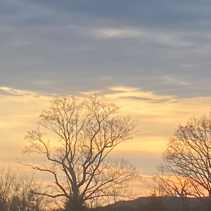 Profile Picture of zimmer4239 (@bobzimmer4) on Tiktok