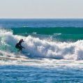Profile Picture of Justin McLeod (@SCspineandsport) on Pinterest
