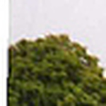 Profile Picture of Banjul (@banjul) on Flickr