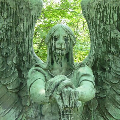 Profile Picture of Travis Stephenson (@t206honus) on Twitter