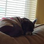 Profile Picture of Kandy Hughes Adams (@hughesadams) on Instagram