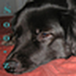 Profile Picture of Morgan Milner (@mm and db) on Flickr