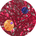 Profile Picture of Mimi Long (@mimilong.ml) on Flickr