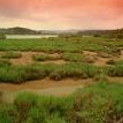 Matt Winans - Twitter Profile Picture of Matt Winans (@mattwinans) on Twitter