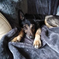 Profile Picture of Julie Toomey21 (@julietoomey21) on Tiktok