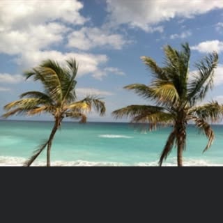 Profile Picture of Amy Glew (@amy_glew) on Instagram