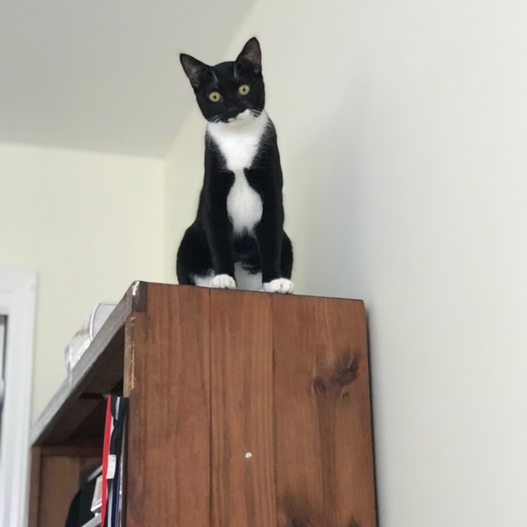 Profile Picture of Jordana Tagger (@jdanaa) on Poshmark