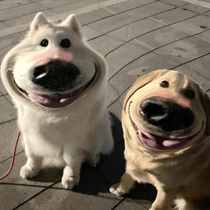 ღ憨吉ღ - Tiktok Profile Picture of ღ憨吉ღ (@huangyufu4) on Tiktok