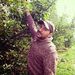 Profile Picture of Joseph Mulholland (@josephn08) on Pinterest