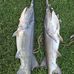 Profile Picture of Brian Kindle (Okie Bros Fishing) (@brian.kindle.52) on Facebook