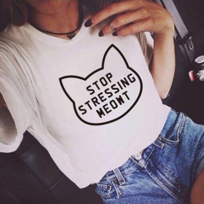 Profile Picture of Ivy Elm⛺️ (@elm_ivy) on Twitter