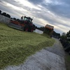 Profile Picture of Joel Schwarz (@@joelschwarz08) on Tiktok