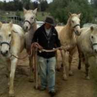 Profile Picture of Ronald Wilkinson Sr (@ronald-wilkinson-sr) on Quora