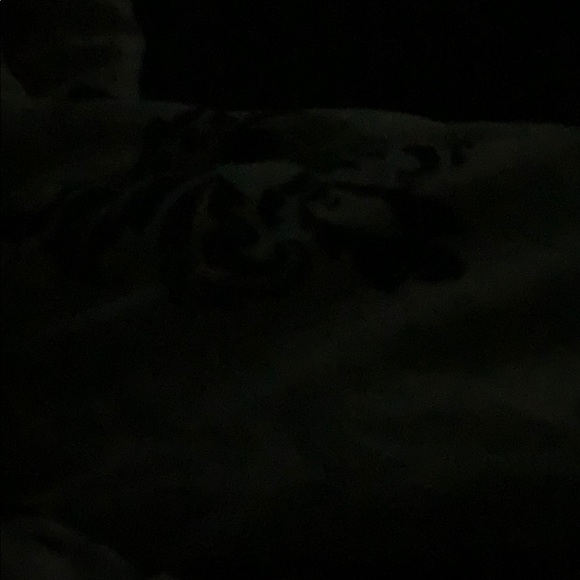 Profile Picture of Eric Perez (@pereze5114) on Poshmark