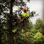 Profile Picture of Andrew Glynn (@andrewg3230) on Instagram