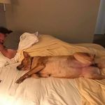 Profile Picture of Joseph Udice (@judice_priest) on Instagram