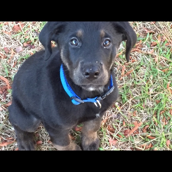 Jd Greene - Poshmark Profile Picture of Jd Greene (@jdgreene) on Poshmark