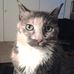 Profile Picture of Mike Alman (@mike.alman.73) on Facebook