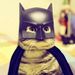 Profile Picture of David Vesey (@2019veseyde) on Pinterest