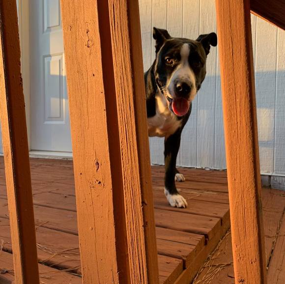 Profile Picture of Day Howard (@rdrvsh) on Poshmark