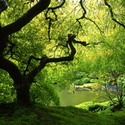 Profile Picture of Damien Brooks (@damienbrooks1) on Twitter