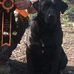 Profile Picture of Mike Melton (@mike.melton.7146) on Facebook