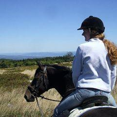 Profile Picture of Kimberly Brokaw (@@kimberlybrokaw) on Tiktok