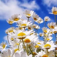 Profile Picture of Josipa Jurić (@josipa-jurić) on Quora