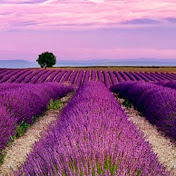 Profile Picture of Jimmy Terry (@jimmyterry3116) on Youtube