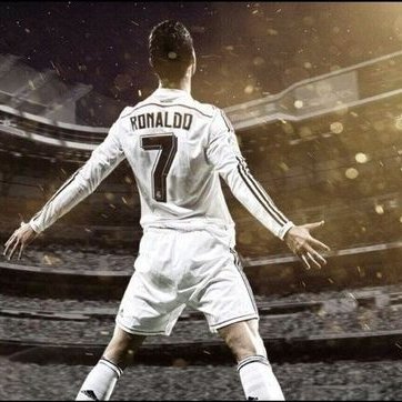 Profile Picture of Kevin Niu (@KevinNiu3) on Twitter