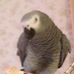 Profile Picture of Susan Hesketh (@susan.hesketh.963) on Facebook