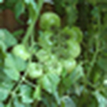 Profile Picture of Ron Weber (@linear249) on Flickr