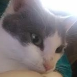 Profile Picture of nikki_counts14 (@nikki_counts14) on Instagram