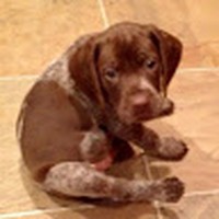 Profile Picture of Lily Levine (@lily-levine-4) on Quora