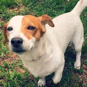 Profile Picture of Leonardo Torrez (@trzleonardo) on Pinterest