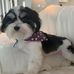 Profile Picture of Bev Kemper (@bev.kemper.9) on Facebook