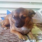 Profile Picture of марк дитчук (@markditchuk) on Instagram