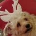 Profile Picture of Teresa Andrews Crecelius (@teresa.andrewsjackson.1) on Facebook