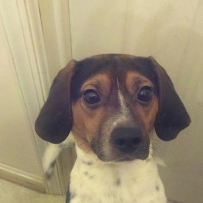 Profile Picture of Suzanne Scott (@SScott107) on Twitter